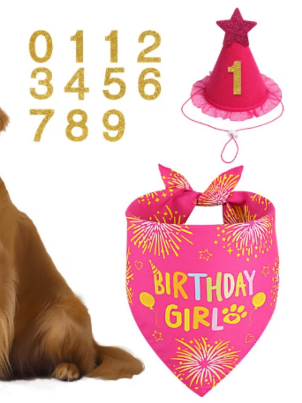 NEW Rose Pink Girl Dog Birthday Party Supplies with Hat with Numbers & Bandana